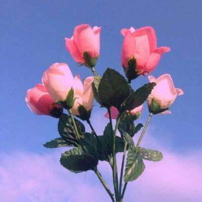 【赏春景话农事】石家庄鹿泉百亩樱桃花人工授粉忙：魔法来了，白花变装粉红娘，这是你没见过的花海！